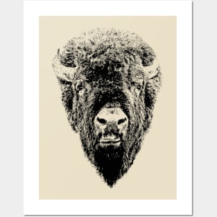 Bison head Posters and Art